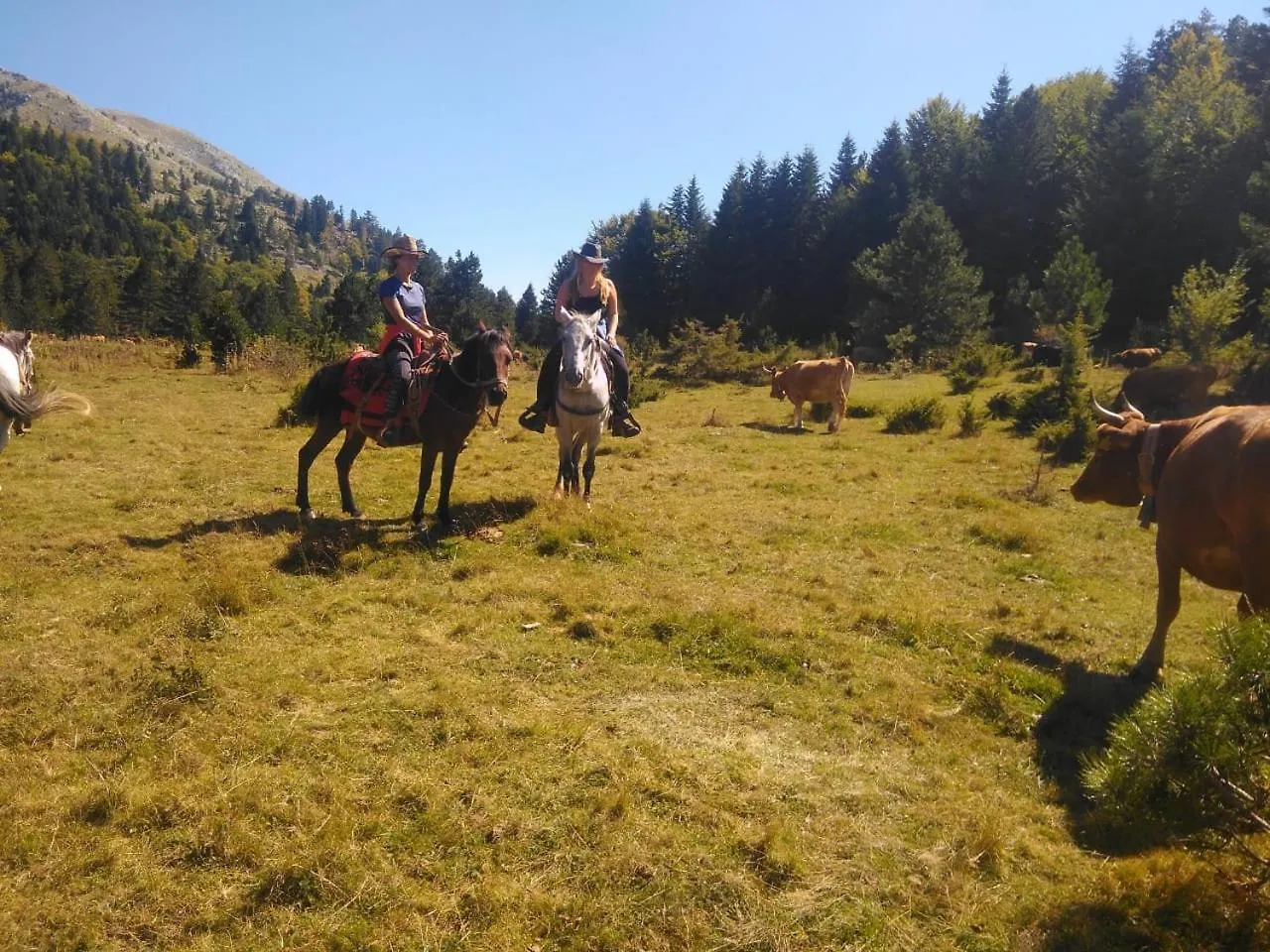 Pensión Hotel Farma Sotira Leskovik Albania